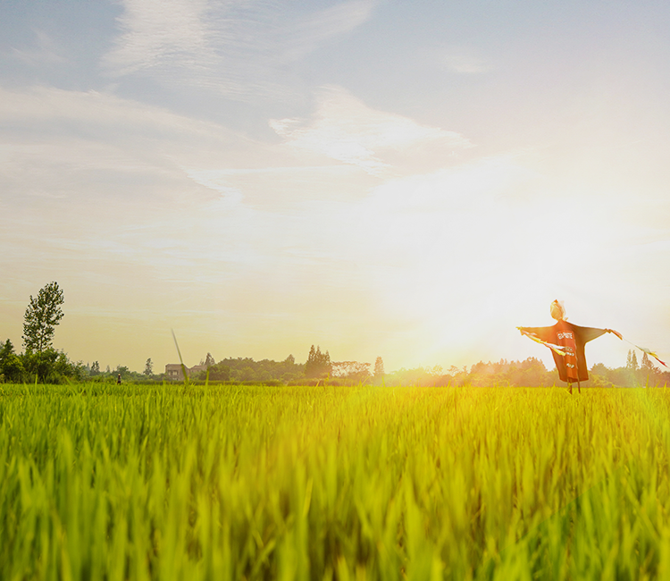 浙江托普云農科技股份有限公司