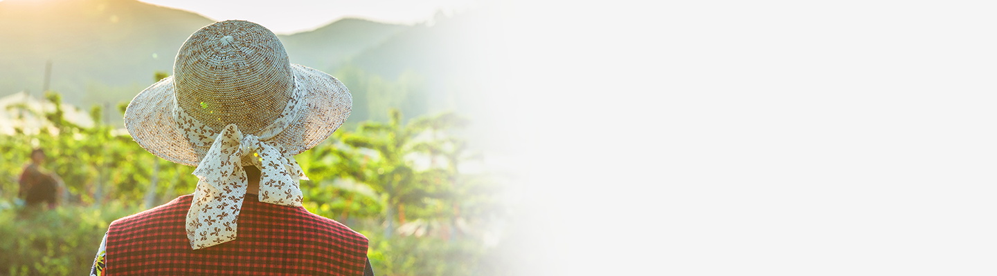 鄉村振興，助力脫貧攻堅