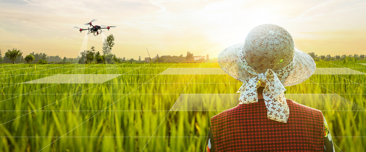 服務其他/新農人