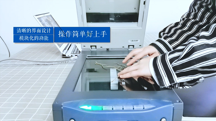 根系分析系統(tǒng)