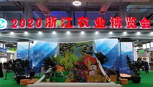 數字三農東風正勁，看浙江農業農村如何高質量發展