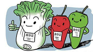 標準化生產＋專業化監管 山東打出組合拳，保障農產品質量安全