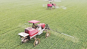 達拉特旗：加強病蟲害監(jiān)測預警，為農業(yè)發(fā)展保駕護航