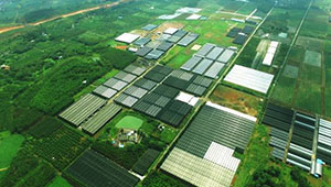 甘肅力爭5年打造10個百億元級現(xiàn)代農業(yè)產業(yè)園