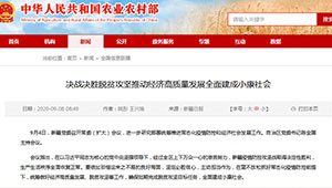  新疆：決戰決勝脫貧攻堅推動經濟高質量發展全面建成小康社會