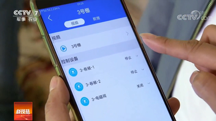 沙漠邊上的綠色農業