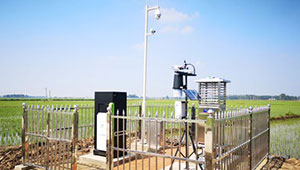 穩(wěn)糧保產(chǎn)，智守農(nóng)田 | 托普云農(nóng)開(kāi)燈巡檢行動(dòng)打響“糧食保衛(wèi)戰(zhàn)”