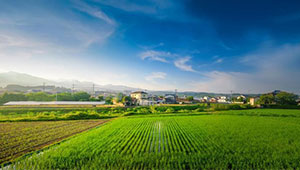 農(nóng)民日?qǐng)?bào)專(zhuān)題報(bào)道 | 浙江念好鄉(xiāng)村振興“數(shù)字經(jīng)”