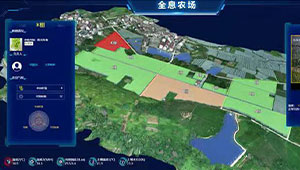 一串葡萄的“數(shù)字秘密”生長(zhǎng)記，浦江超級(jí)農(nóng)場(chǎng)的數(shù)字秘密！