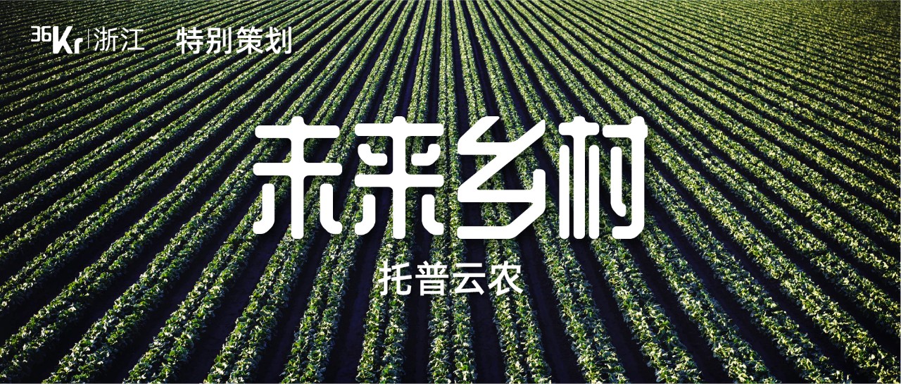 智慧農業“原住民”托普云農，破解農業大數據的“小”問題｜未來鄉村