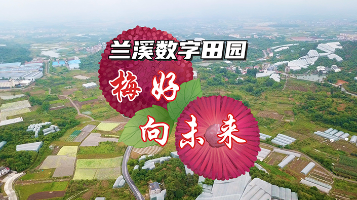 蘭溪數(shù)字田園——梅好，向未來(lái)！