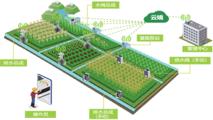 建設高標準農田，促進農業綠色高效發展