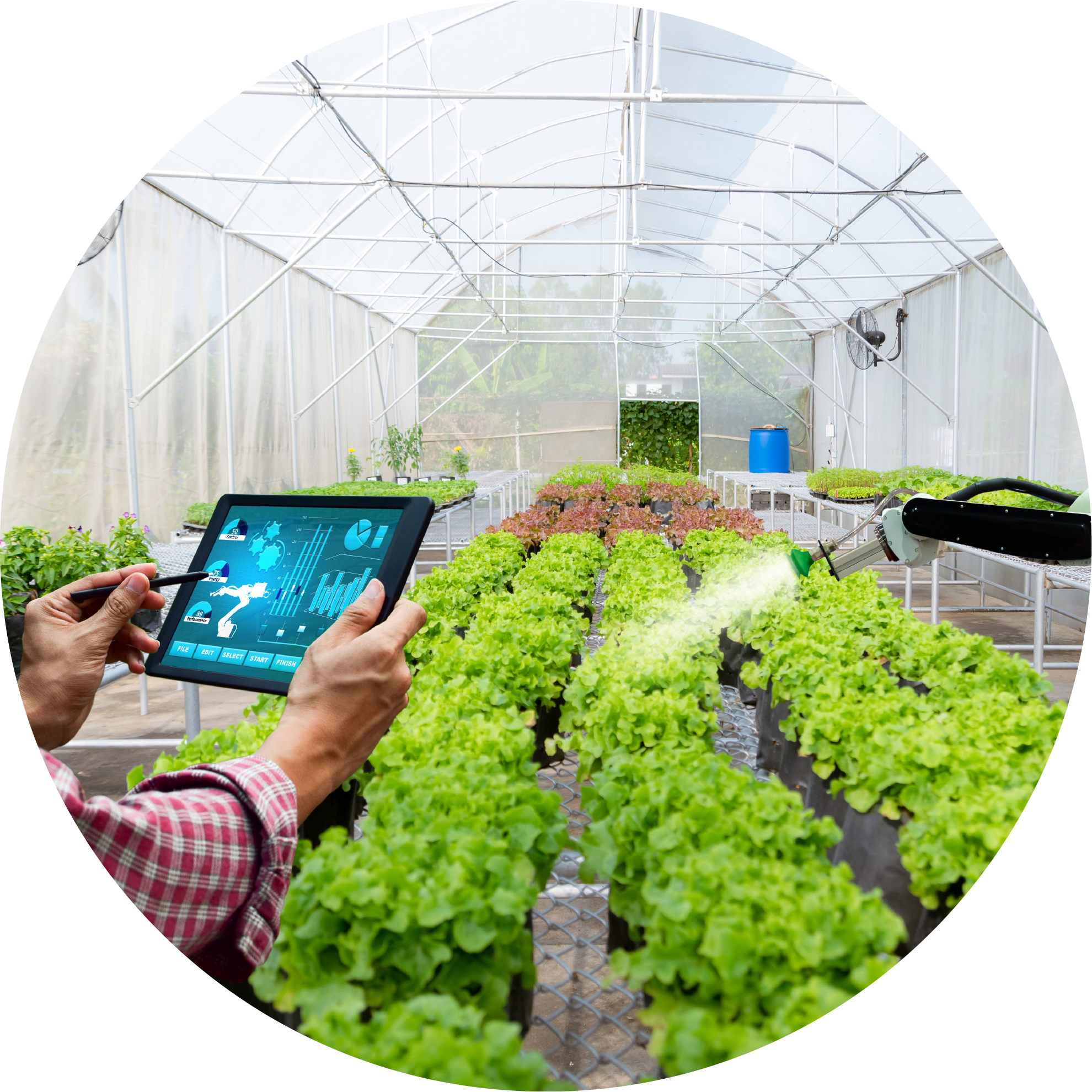 設施農業(智能溫室)建設