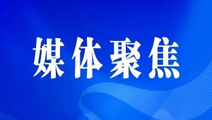 央視、人民網等權威媒體聚焦西湖龍井：托普云農“黑科技”點亮千年茶香智變之路