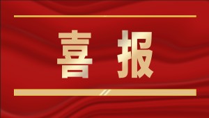 喜報！托普云農入選2025年“領軍型”浙江數商名單