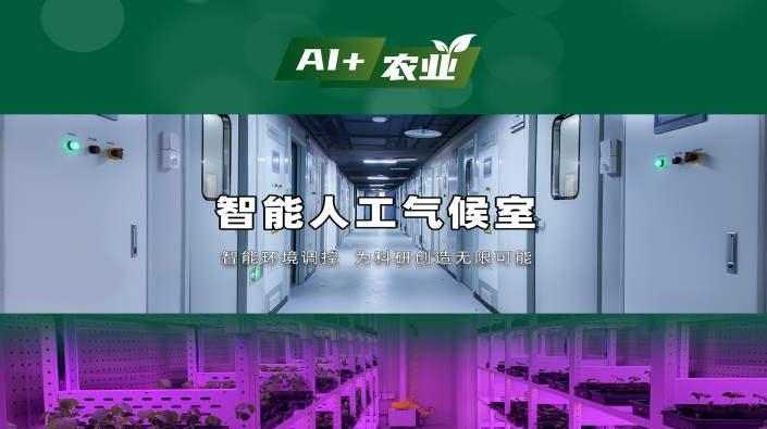植物生長 “開掛” 神器！托普智能人工氣候室：AI 模型 + 表型分析全解析，從勘察到驗收，托普全流程閉環服務！